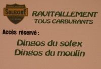 A l‘heure de l‘apéro, le bar était réservé à de drôles de DINGOS<br>