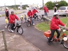 L‘arrivée des DINGOS SOLEX