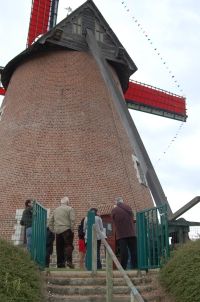 Qulques visiteurs